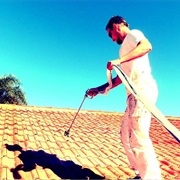 Cheap Roof Cleaning/Painting