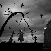 Why Can't We Live Forever?