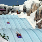 Blizzard Beach Toboggan Racers