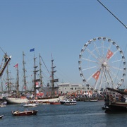 Sail Amsterdam (Every 5 Years)