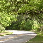 Edisto Island National Scenic Byway