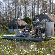 Explore Florida's Everglades