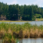 Fenton Lake State Park, New Mexico