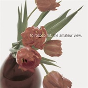 To Rococo Rot - The Amateur View