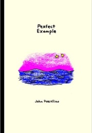 Perfect Example (John Porcellino)