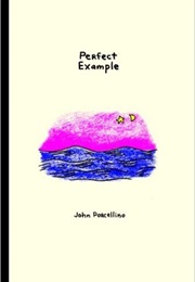 Perfect Example (John Porcellino)