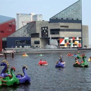 Dragon Boats, Baltimore's Inner Harbor
