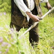 Learn How to Use a Scythe