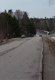 Hirtettyjen Kettujen Metsä