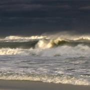Swim in the Gulf of Mexico