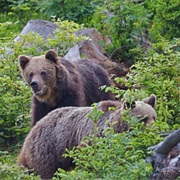 Mala Fatra National Park, Slovakia