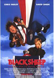 Black Sheep