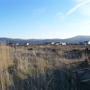 Dallesport, Washington