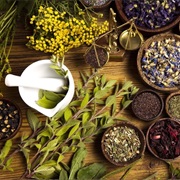 Which Plants Are Incredients of Medications