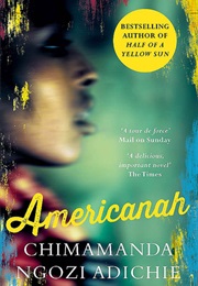 A Book About a Culture You Are Unfamiliar With (Americanah - Chimamanda Ngozi Adichie)