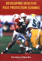 Developing Effective Pass Protection Schemes (Zweifel/ Boll)