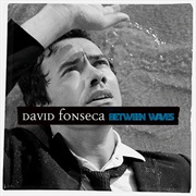 David Fonseca - Between Waves
