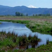 Steigerwald Lake National Wildlife Refuge