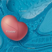 Prostate Health Month (September)