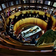 Rijksmuseum Boerhaave