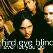 Third Eye Blind - Never Let You Go