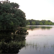 Buescher State Park, Texas
