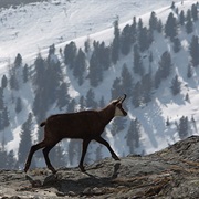 Texelgruppe Nature Park, Italy
