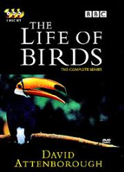 The Life of Birds