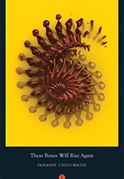 These Bones Will Rise Again (Panashe Chigumadzi)