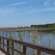 Meaher State Park, Alabama