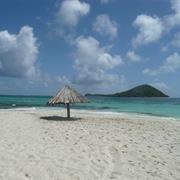 Petit Saint Vincent (PSV)