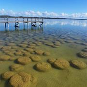 Yalgorup National Park (WA)