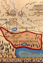 Ponderosa