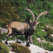 Ports De Beseit / Morella, Spain