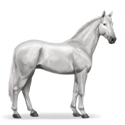 Hanoverian - Light Grey