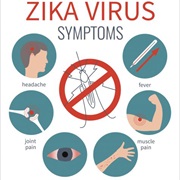 Zika Virus (ZIKV)