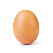 The Instagram Egg