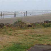 Pacific Beach State Park