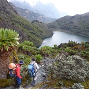 Rwenzori Mountains, Uganda