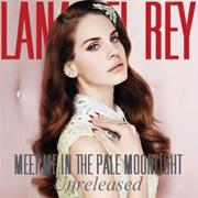 Meet Me in the Pale Moonlight