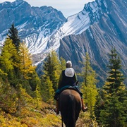 Trail Ride in the Rockies, Alberta