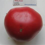 Pink Sweet