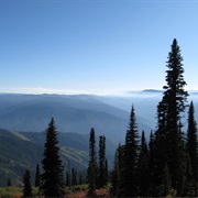 Nez Perce National Forest