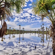 Laguna Del Amor, Guaviare