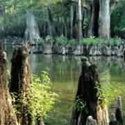 White River National Wildlife Refuge