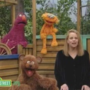 Mary Chapin Carpenter