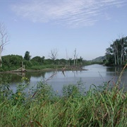 Eagle Bluffs Conservation Area, Missouri