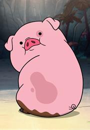 Waddles