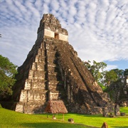 Visit Tikal