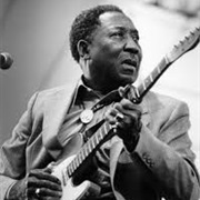 Muddy Waters - McKinley Morganfield
